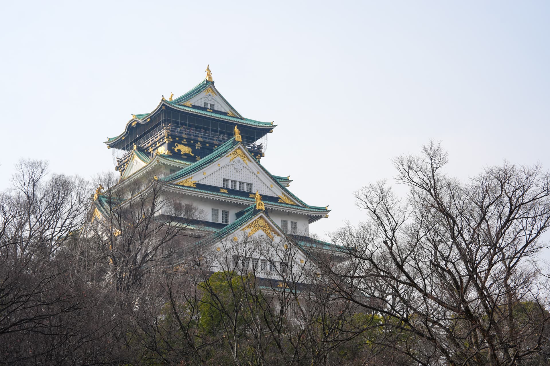 Osaka Castle keep framed by tree branches