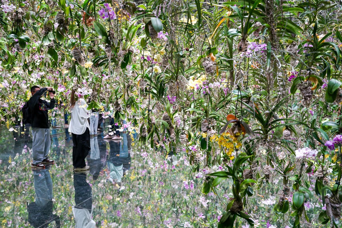teamLab Planets flower room with hanging gardens