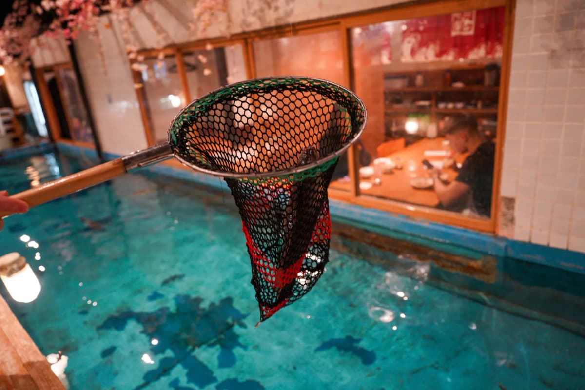 Holding a fishing net over the tank at Zauo Namba