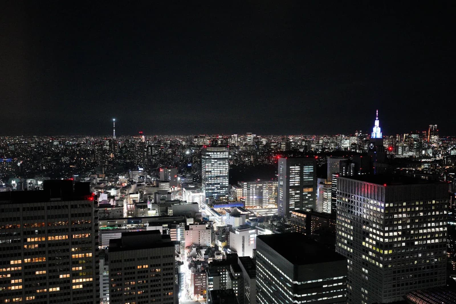 Tokyo Metropolitan Government Observatory: Free Views, North vs South